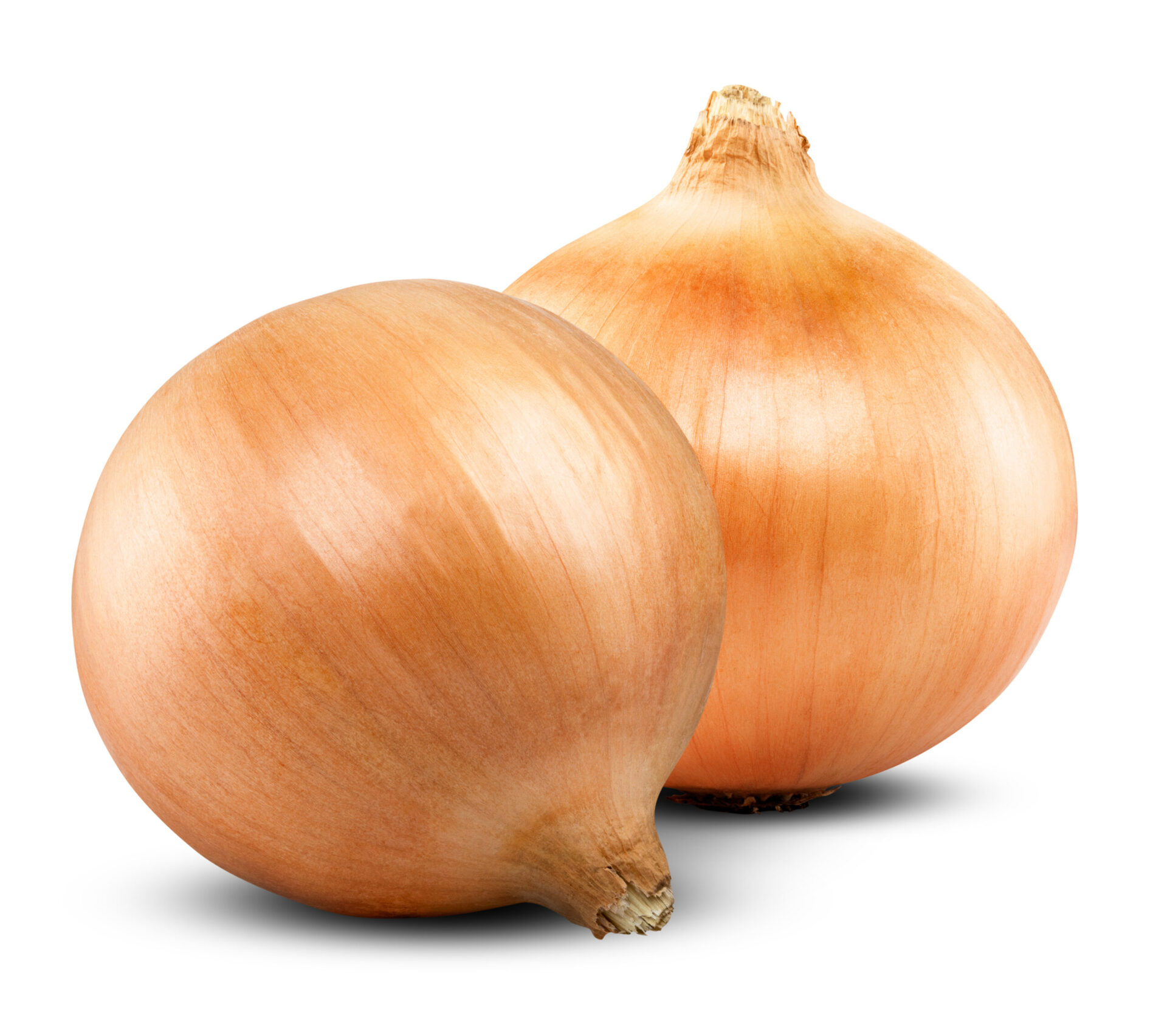 Cebolla Blanca 1 Kg, cebolla suave y sabrosa, perfecta para enriquecer todos tus platillos.