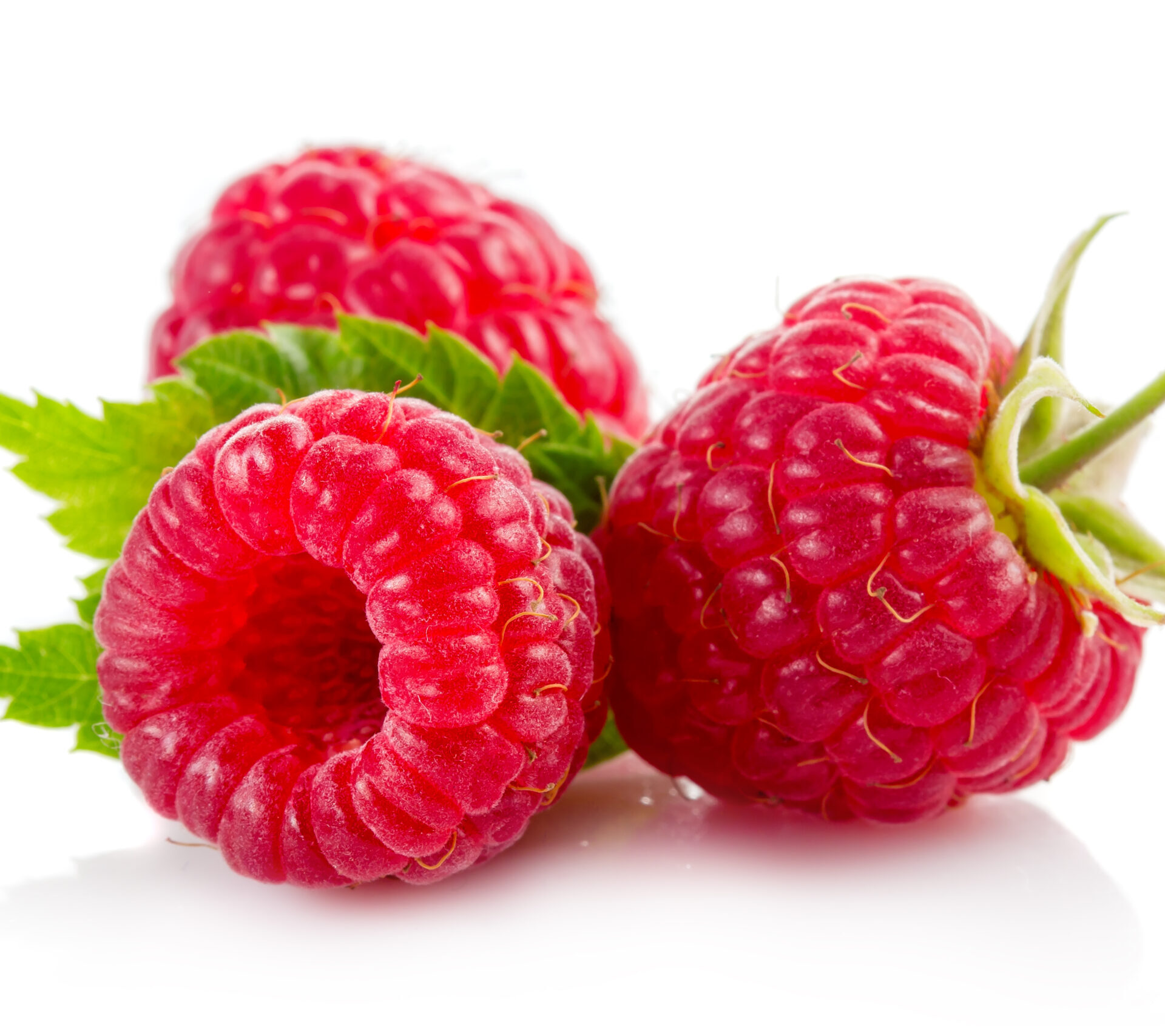 Las frambuesas ofrecen un sabor refrescante y nutritivo, ideales para preparar batidos, postres y más.
