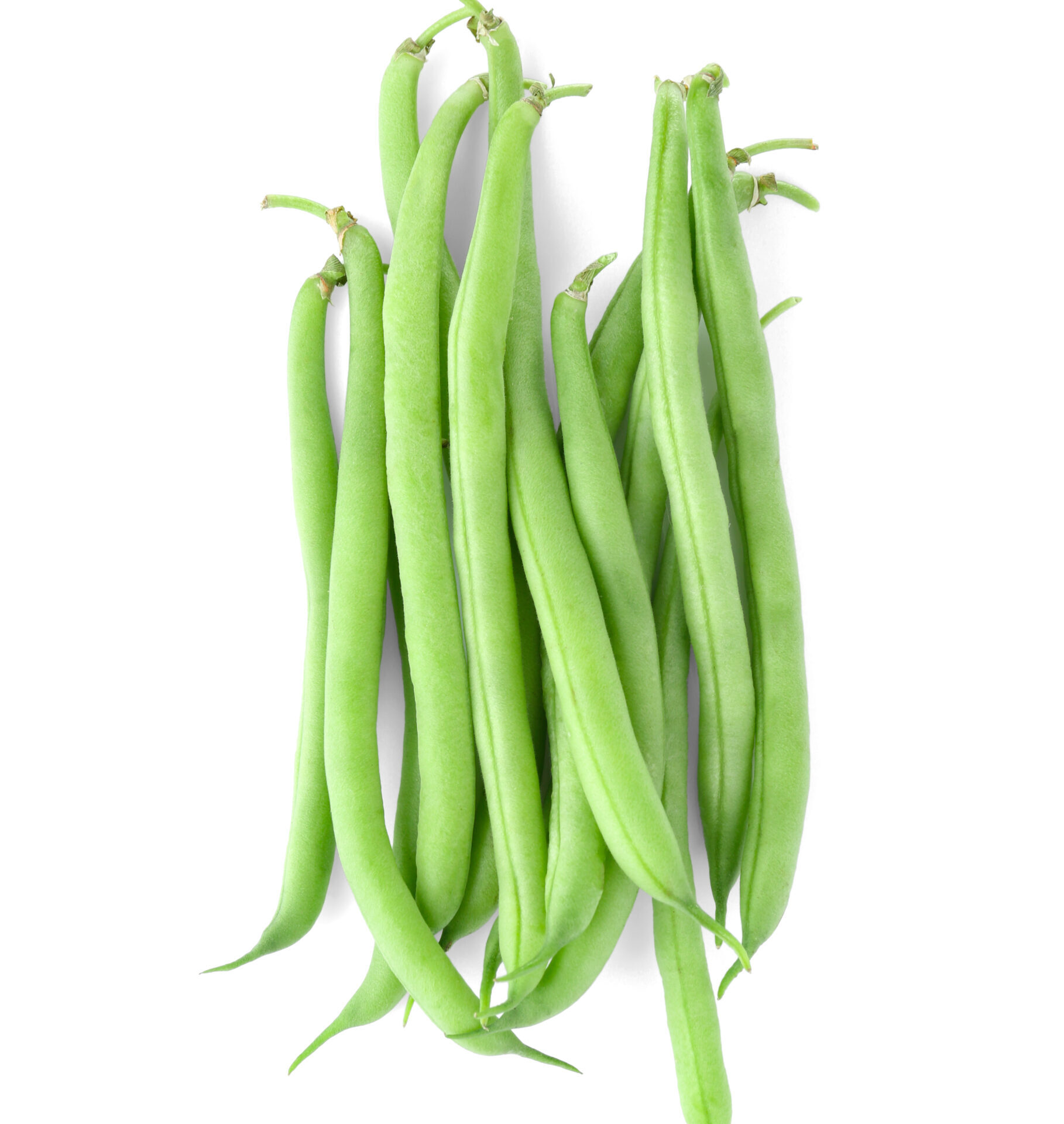 Porotos Verdes (1 Kg), suaves y versátiles, perfectos para añadir a platos saludables. Ricos en nutrientes como proteínas, fibra y vitaminas.