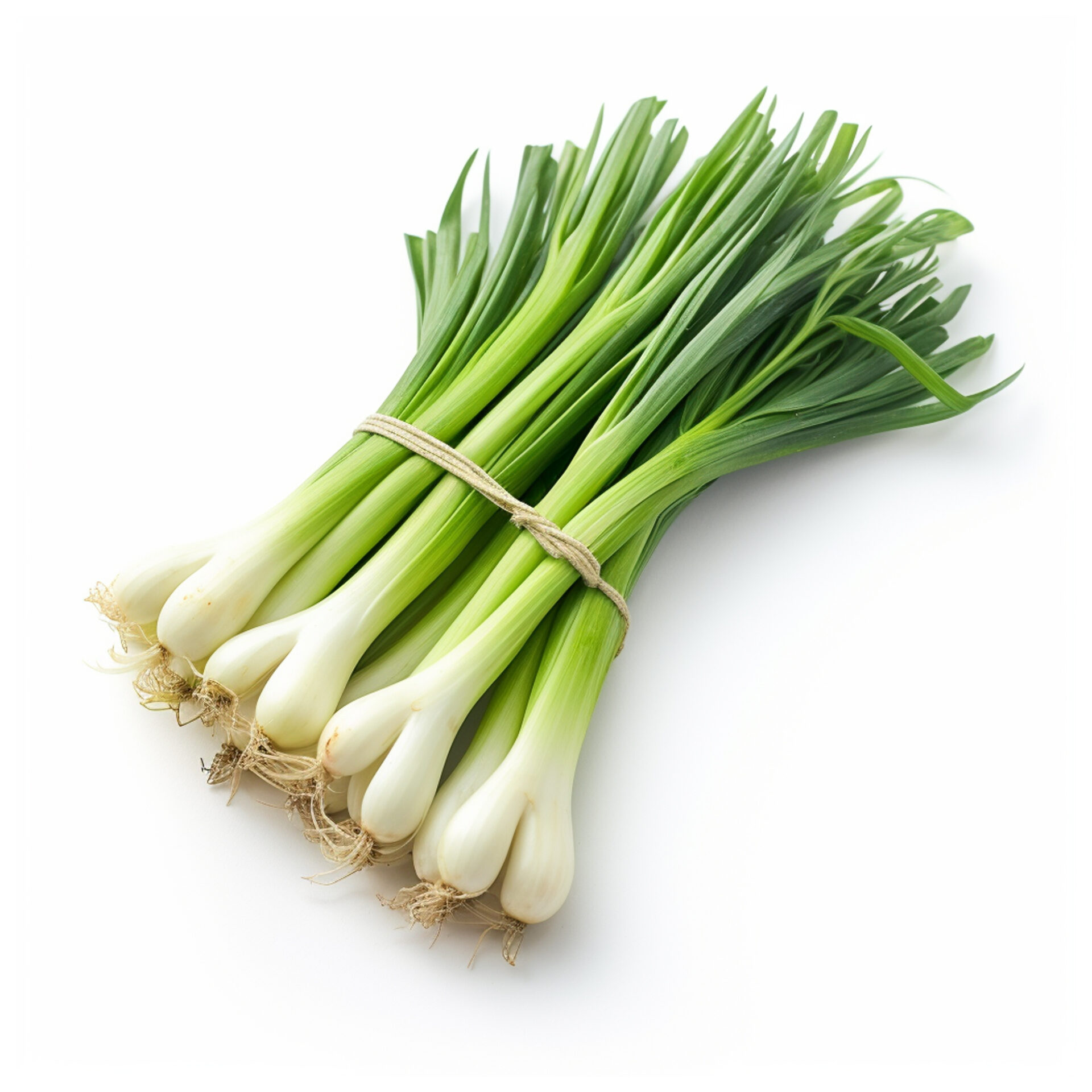 Cebollín (3 Unidades), cebollín fresco y versátil, perfecto para dar sabor a tus recetas de manera rápida y sencilla.