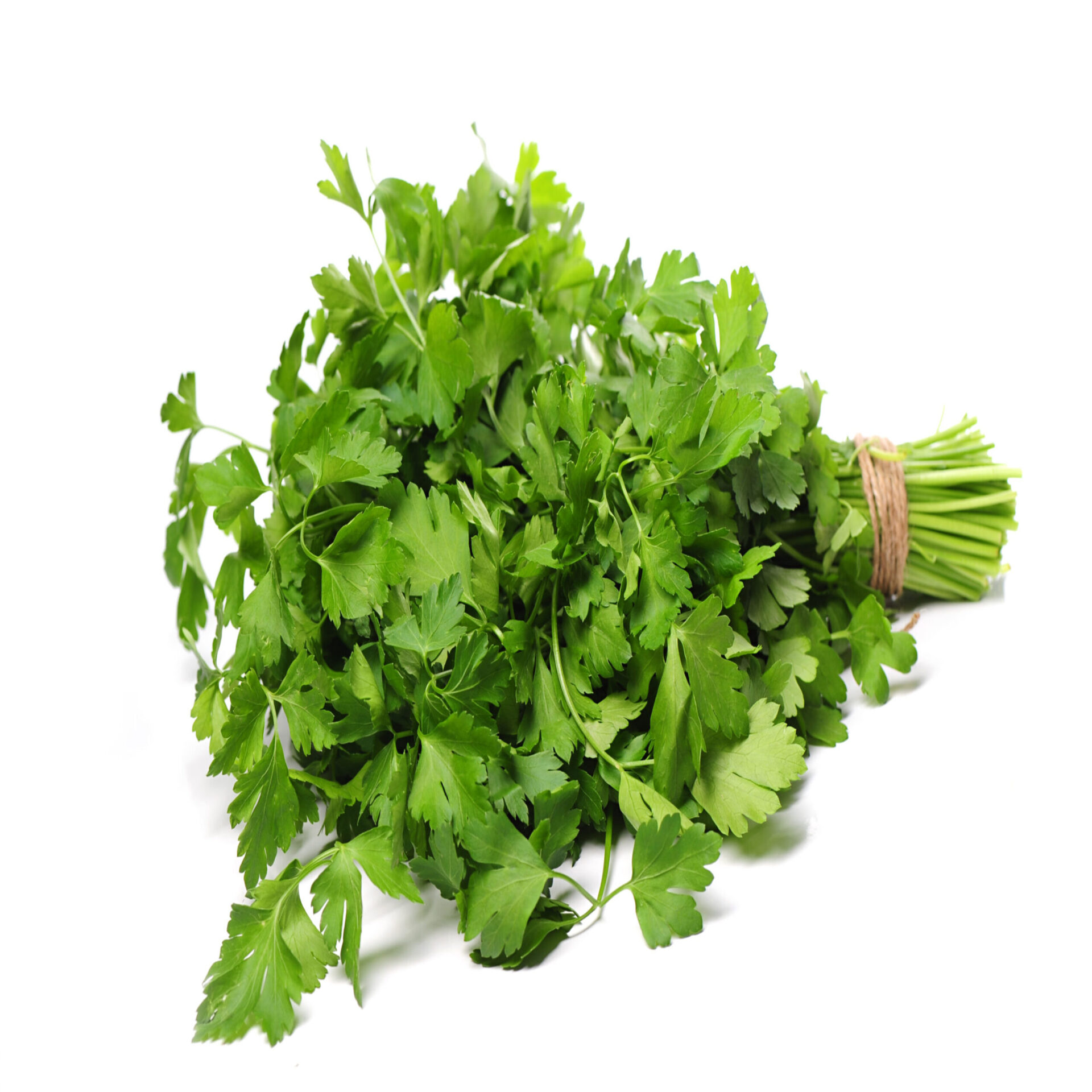 Perejil Liso 250 Gr (Paquetito), ideal para ensaladas y platos frescos. Aporta sabor y nutrientes como vitaminas A, C y K.