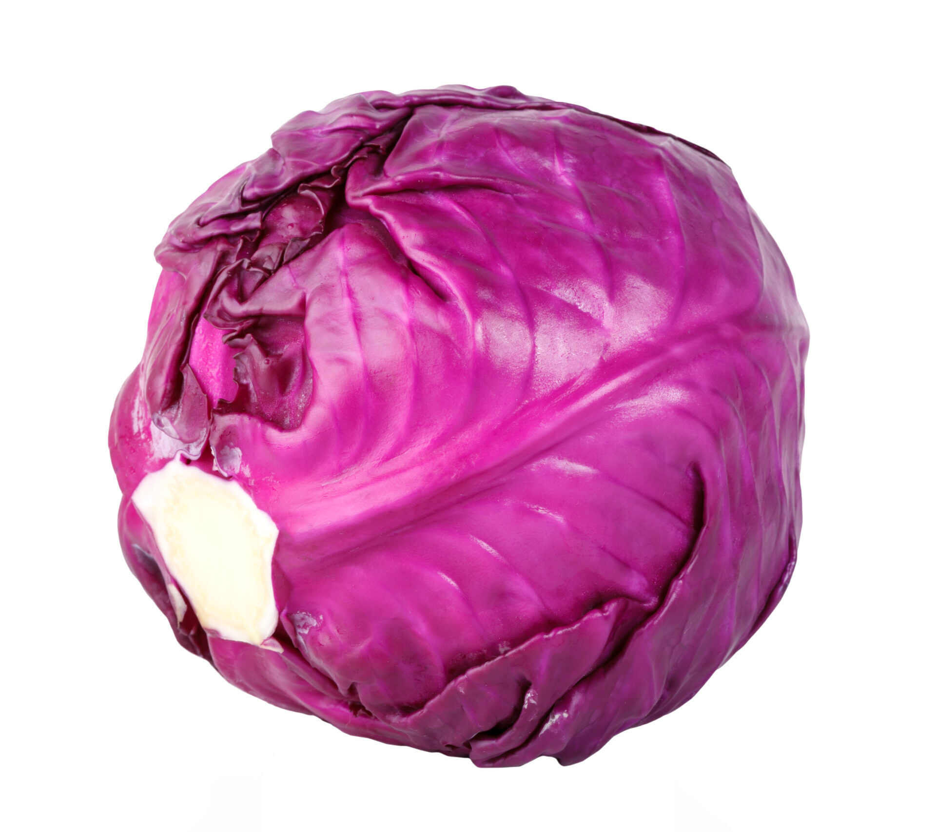 Repollo Morado (Unidad) vibrante y sabroso, ideal para ensaladas, sopas o como acompañante. Fuente de fibra, vitamina C y antioxidantes, perfecto para una alimentación saludable.