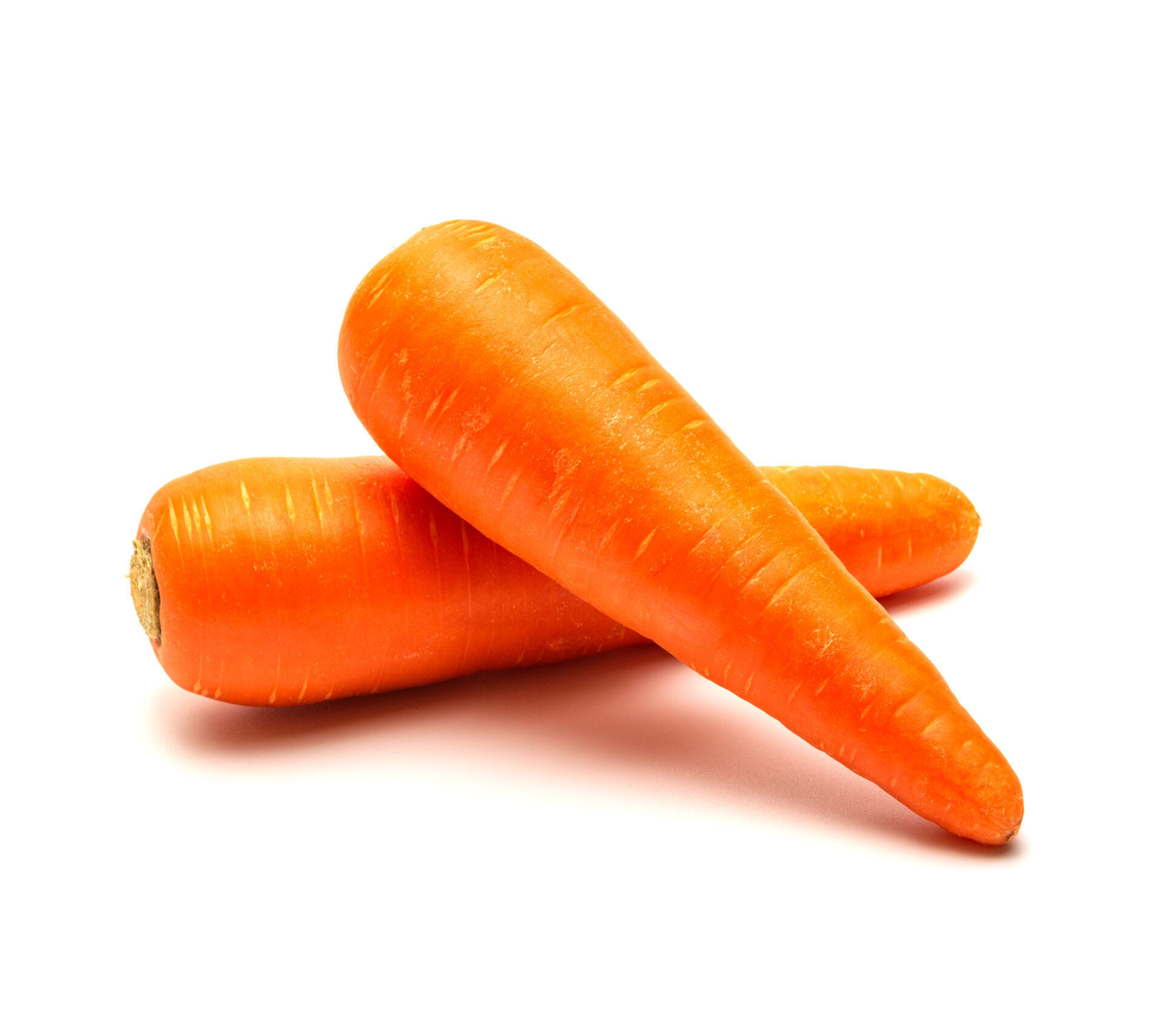 Zanahorias, el vegetal versátil y nutritivo que no puede faltar en tu cocina. Ideales en ensaladas, guisos, jugos y postres.