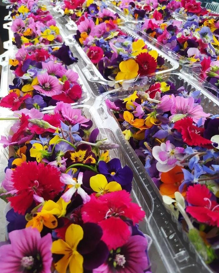 MIX DE FLORES GOURMET